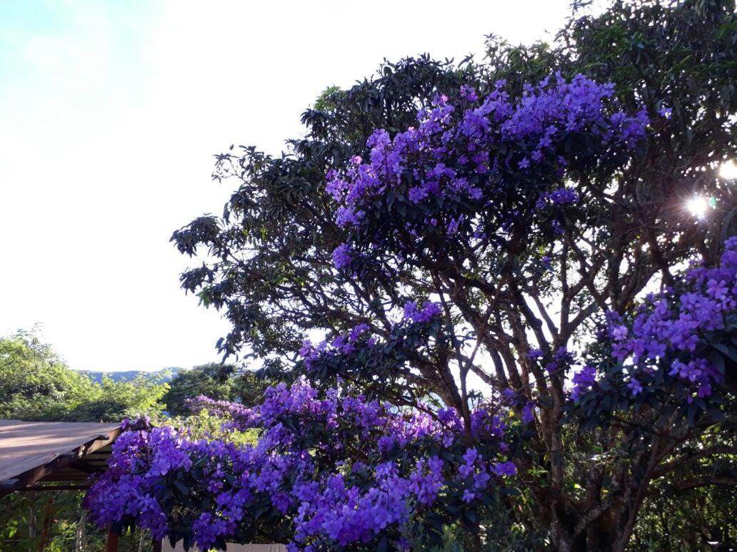 Do Alto Da Montanha Pousada Vale do Capao Bagian luar foto